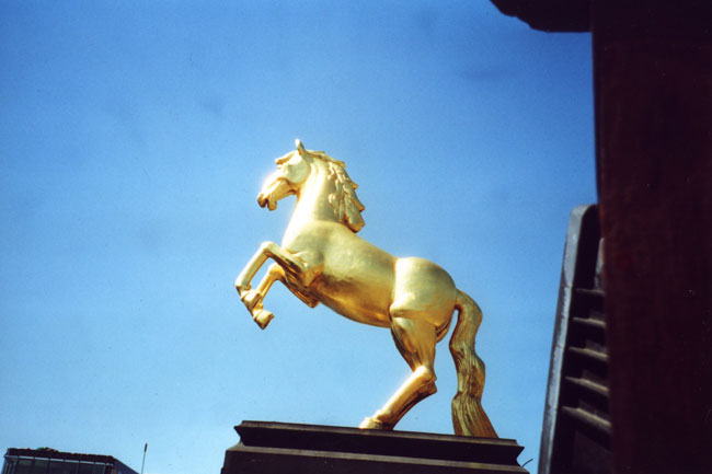 Pferd Landesmuseum